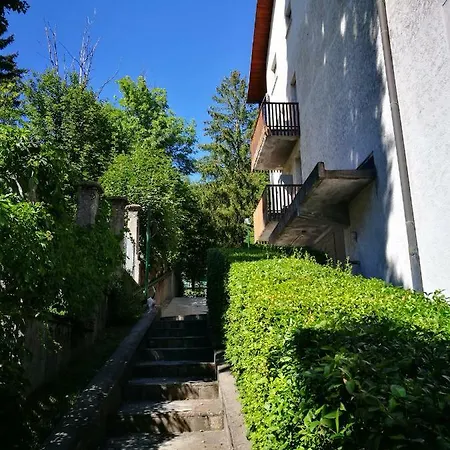 In Centro , Ma A Due Passi Dal Bosco Apartment