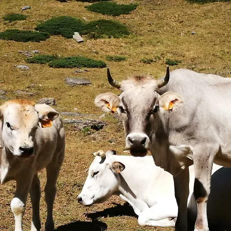 In Centro , Ma A Due Passi Dal Bosco